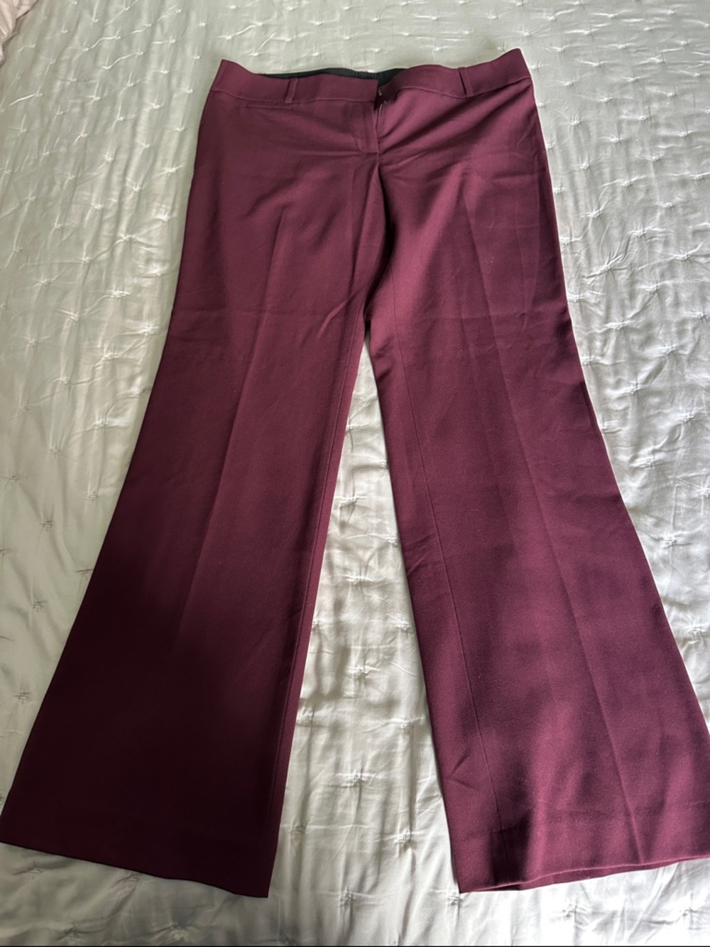 LOFT Burgundy Boot-Cut Dress Pants